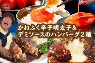 かねふく辛子明太子&デミソースのハンバーグ2種セット【A5-301】