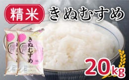 【ふるさと納税】【 先行予約 】 新米 きぬむすめ 20kg 精米 大容量 米 お届け回数1回 お米 1回お届け 白米 直前精米 精米したて 豊田町