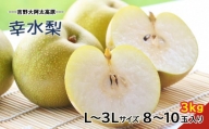 G15 幸水 梨 L ～ 3L サイズ 約3kg 8～10玉  | フルーツ 果物 くだもの 梨 幸水 奈良県 大淀町