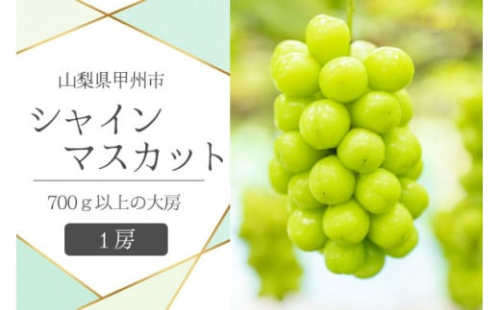 甲州市産シャインマスカット1房 大房700g以上 産地直送【2025年発送】（VYD）B-885【シャインマスカット 葡萄 ぶどう ブドウ 令和7年発送 期間限定 山梨県産 甲州市 フルーツ 果物】