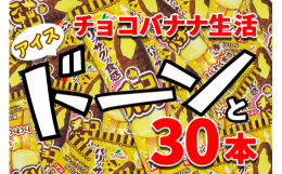 フタバ食品のチョコバナナ（アイス）がドーンと30本！！届いた日から夢のようなチョコバナナ生活がスタートします！！まるで本物のバナナのような形！食べて美味しい、見て楽しい、チョコバナナそっくりなアイス。