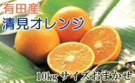 [厳選]有田産清見オレンジ約10kg（サイズおまかせ・秀品）　