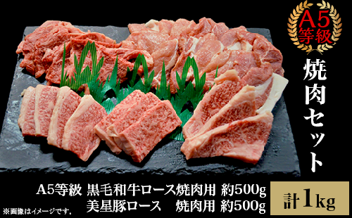 焼肉セット1kg（4～5人用）A5等級 黒毛和牛ロース 約500gと美星豚ロース 約500g 岡山県産
