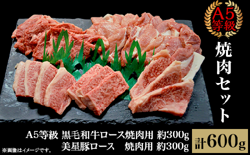 焼肉セット600g（2～3人用）A5等級 黒毛和牛ロース 約300gと美星豚ロース 約300g 岡山県産