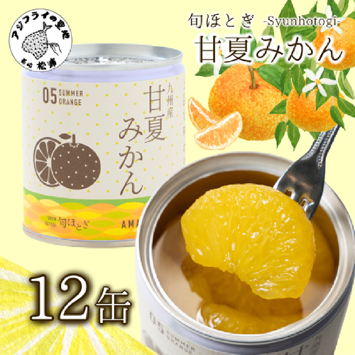 缶詰工場直送　特選果実「旬ほとぎ」甘夏みかん 12缶( みかん ミカン 甘夏 甘夏みかん 缶詰 みかん缶 シラップ漬け )【B8-007】 891981 - 長崎県松浦市