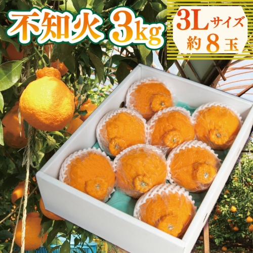 果物 しらぬい 3kg 3Lサイズ 8玉入り 先行予約 令和 6年産 1箱 不知火 柑橘 阿波市産 892354 - 徳島県阿波市