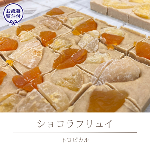 【お歳暮熨斗付】 ショコラフリュイ トロピカル チョコレート チョコ スイーツ デザート 高級 ギフト 贈り物 お礼 プレゼント 手土産 お菓子 [DJ30-NT] 892405 - 茨城県つくばみらい市
