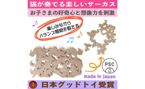 木のおもちゃ/ネコの自由積み木 psc 世界まる見えテレビ特捜部に登場 知育玩具 出産祝い 型はめ パズル 赤ちゃん おもちゃ 日本製 男の子女の子 プレゼント 木製 老人 リハビリ 玩具療法 892556 - 長野県上田市
