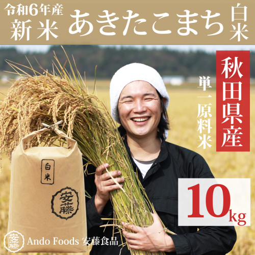 《令和6年産 新米》秋田県産 あきたこまち 10kg(10kg×1袋) 【白米】令和6年産 893257 - 秋田県三種町