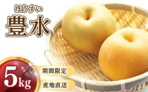 【2025年8月中旬頃から発送予定】 梨 ( 豊水 ) 5kg 川崎町産 梨 | 井手上農園 産地直送 梨 5kg 梨 豊水 なし フルーツ 梨 豊水 梨 豊水 梨 季節限定 梨 数量限定 梨 福岡県 川崎町 先行予約 先行受付