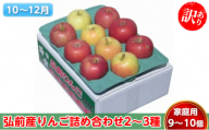 りんご [10〜12月発送] 訳あり 弘前産りんご 詰め合わせ 2〜3種 家庭用 9〜10個[ 弘前市産 青森りんご ]