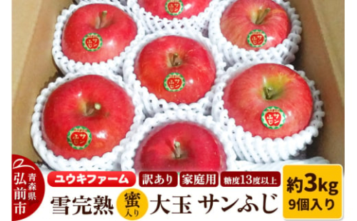 【25年12月発送】りんご 【 数量限定 】訳あり 雪完熟 家庭用 蜜入り 糖度13度以上 大玉 サンふじ 約3kg 9個入り