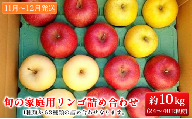 【11月～12月発送】旬の家庭用リンゴ詰め合わせ 約10kg糖度13度以上【弘前市産・青森りんご】