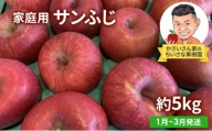 【1月～3月発送】家庭用 サンふじ 約 5kg 【弘前市産・青森りんご】