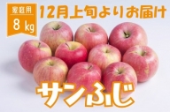 りんご サンふじ 家庭用 8kg