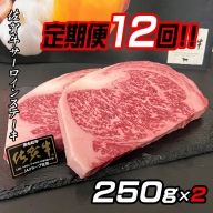 【定期便12回】佐賀牛ステーキ 250g×2：C345-004