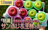 年内 最高等級 「特選」サンふじ＆王林 約3kg 糖度保証13度以上・キャップ 【12月・青森りんご・JA津軽みらい(板柳）】