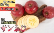 11～12月 特A 蜜入り サンふじ約5kg（12～18個）13度糖度保証【青森りんご・ゆうきアップル・11月・12月】