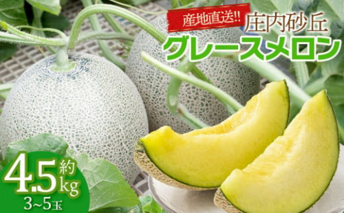 【令和7年産 先行予約】産地直送！ 庄内砂丘グレースメロン 約4.5kg (3～5玉) K-733