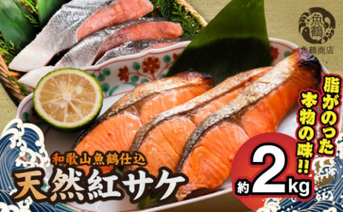 G7318_リピーター続出！ 高評価 魚鶴 仕込 天然紅 鮭 サケ 切身 約2kg サケ切身 紅鮭 和歌山 湯浅町 小分け 真空パック 梅酒 真昆布 使用 だし まろやか 天然 鮭 魚 海の幸 海鮮 魚介 食品 食べ物 おかず お弁当 水産加工品 冷凍 グルメ お取り寄せ 和歌山県 湯浅町 送料無料 896308 - 和歌山県湯浅町