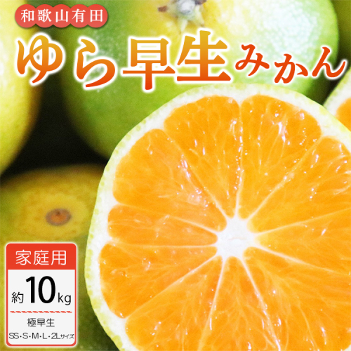 【ご家庭用 極早生】和歌山有田ゆら早生みかん約10kg(SS、S、M、L、2Lサイズ)
※配送不可地域あり※2023年10月下旬頃～11月中旬頃に順次発送予定 896653 - 和歌山県美浜町