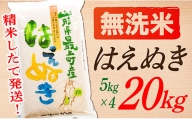 SA12204-2【令和5年産】【無洗米】山形県産はえぬき20kg