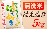 【10月より値上げ予定】SA12201-2【令和5年産】【無洗米】山形県産はえぬき5kg