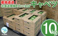 北海道南幌町産 キャベツ 10kg（6～9玉）7月中旬より発送 JAなんぽろ直送 NP1-339