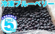 北海道南幌町産 冷凍ブルーベリー 加工用 5kg 7月下旬より発送 JAなんぽろ直送 NP1-345