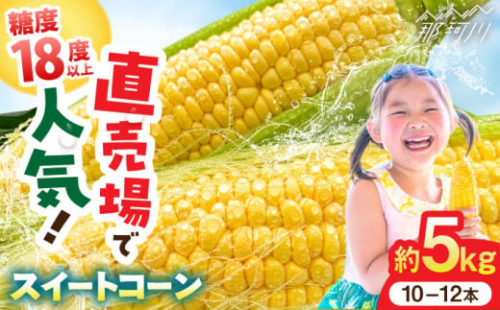 【5月末より発送】先行予約！朝採れ スイートコーン 約5kg（10-12本入り）とうもろこし ＜ちくし農園＞那珂川市 とうもろこし トウモロコシ スイートコーン コーン もろこし 人気  糖度 野菜 産地直送  お取り寄せ 朝採り 大容量[GDU001]