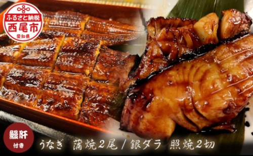 三河一色うなぎ蒲焼き2尾(中サイズ)、銀ダラ2切　肝焼き付き・F022-19 897580 - 愛知県西尾市