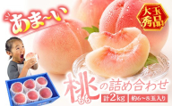 あま〜い桃 詰め合わせ 2kg入り 秀品 香川県 飯山町 最上級 桃 大玉 6〜8玉 もも 旬 フルーツ FAH-196