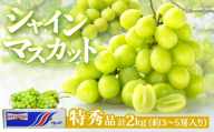 シャインマスカット 特秀品 ザ・クラス 2kg 詰め合わせ 大粒 3〜5房 新品種 皮ごと フルーツ 旬 香川県 四国