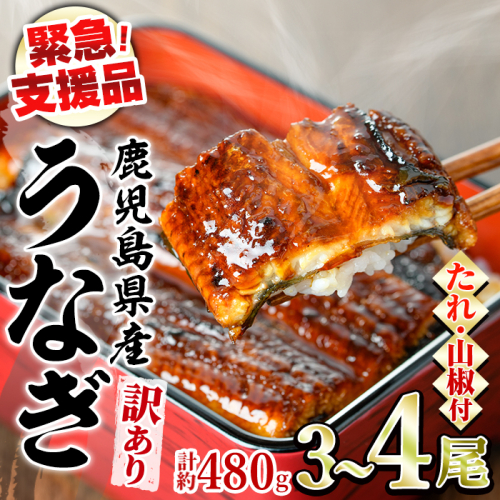 【0154316a】【緊急支援品】＜訳あり＞鰻の蒲焼き(無頭)(3～4尾・計約480g・タレ、山椒付) うなぎ ウナギ 鰻 国産 蒲焼 蒲焼き たれ 鹿児島 ふるさと 人気 支援【アクアおおすみ】 897921 - 鹿児島県東串良町