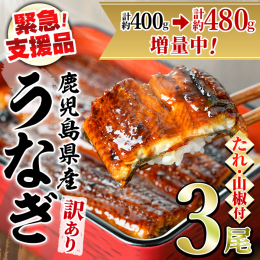 緊急支援品！訳アリ・数量限定！豊富な地下水で育てられた鹿児島県産鰻！ふっくら肉厚の東串良町うなぎ 養殖うなぎの生産量日本一の鹿児島県産！ 全国シェアの4割を誇ります。 鹿児島県産うなぎのおいしさの秘密