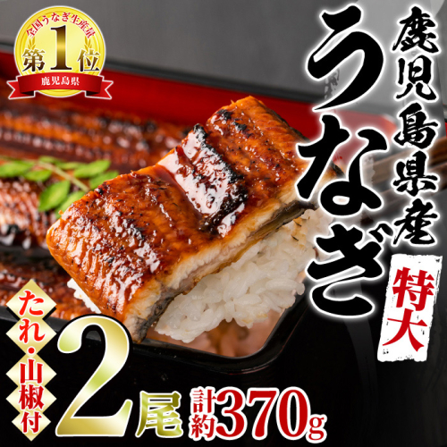【0154302a】＜特大＞うなぎ蒲焼き(無頭)(2尾・計約370g・タレ、山椒付)うなぎ 高級 ウナギ 鰻 国産 蒲焼 蒲焼き たれ 鹿児島 ふるさと 人気【アクアおおすみ】 897922 - 鹿児島県東串良町