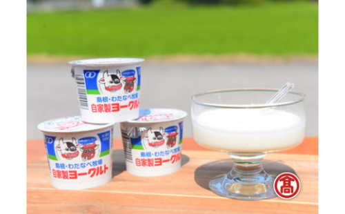 ヨーグルト詰合せ　［髙島屋選定品］（スプーン付き）【ヨーグルト 加糖】
