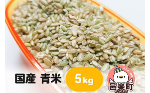 【国産】青米 5kg×1袋 サイトウ・コーポレーション 飼料