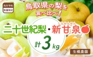 新甘泉と二十世紀梨の食べ比べセット【鳥取県産】３ｋｇ（生橋農園）