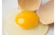【3ヶ月定期便】田中鶏卵の産みたて卵（60個）