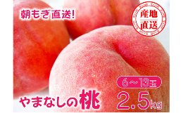 【ふるさと納税】【先行予約】【2024年発送】 矢崎さん家のもも 6〜13玉 （約2.5kg）桃 もも 山梨県産 フルーツ くだもの 果物 産地直送
