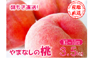 【先行予約】【2024年発送】矢崎さん家のもも 10～18玉 （約3.5㎏） 桃 もも 山梨県産 フルーツ くだもの 果物 産地直送