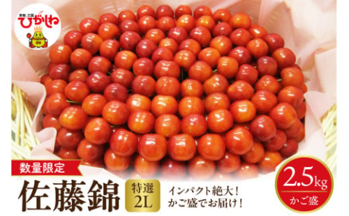 【2025年 数量限定】2025年産 特選!! 東根産さくらんぼ 佐藤錦【籠盛り】 総量約2.5kg 山形県 東根市　hi026-006