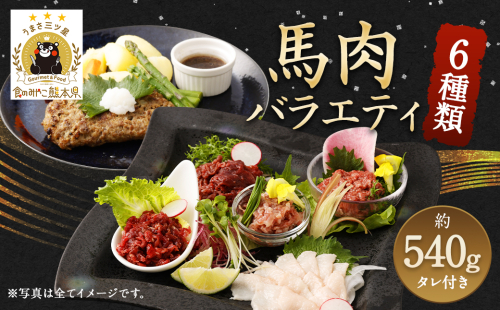 6種 馬肉 バラエティ 約540g タレ付き 馬刺し 食べ比べ 899136 - 熊本県益城町