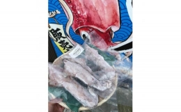 【ふるさと納税】【先行予約】イカ お刺身で食べる 天然 ケンサキイカ 約1kg 活きたイカをご提供している漁師が活〆！ 急速冷凍 鮮度格別