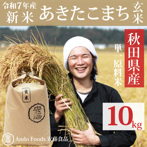《令和7年産 新米》秋田県産 あきたこまち 10kg(10kg×1袋)【玄米】令和7年産 899251 - 秋田県三種町