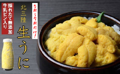 北三陸の生うには今だけ！無添加採れたて「生うに」そのままビン詰180ｇ×10本 岩手 三陸 久慈 牛乳瓶 冷蔵 180ｇ 10本 生 雲丹 ウニ 新鮮 添加物不使用 ミョウバン不使用 送料無料 配送指定日不可 ８月上旬頃までに配送予定 899284 - 岩手県久慈市
