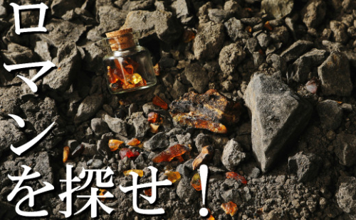 【自宅で琥珀の採掘体験！？】「琥珀缶詰」採掘体験缶セット 899312 - 岩手県久慈市