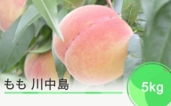 先行予約 もも 桃 川中島 約5kg 2024年産 令和六年産 果物 フルーツ 山形県産 ja-moknx5