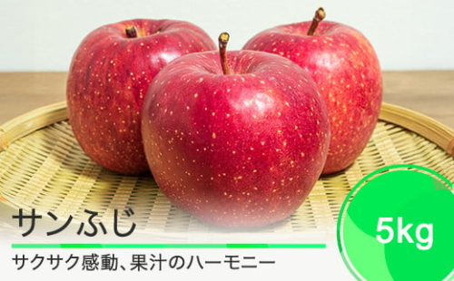 りんご サンふじ 5kg 2025年産 果物 フルーツ くだもの 大石田 山形県 ja-risfx5